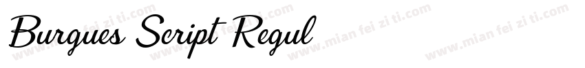 Burgues Script Regul字体转换